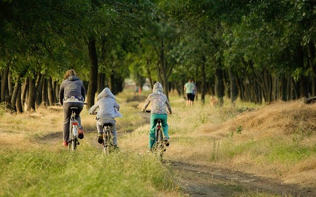 Tips Voor Het Organiseren Van Een Familiedag